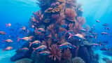 Underwater Coral Reef Fantasy