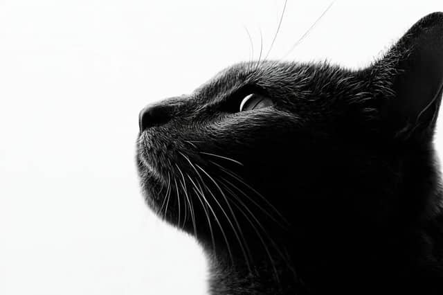 Fine art black and white portrait photography