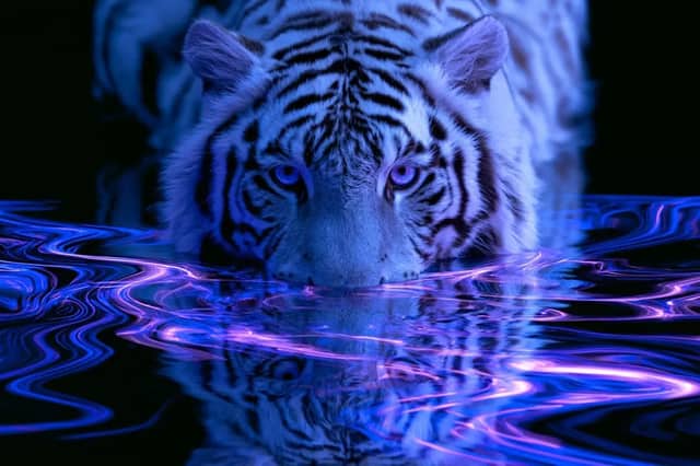 A Fractal Reflections representation of Subject