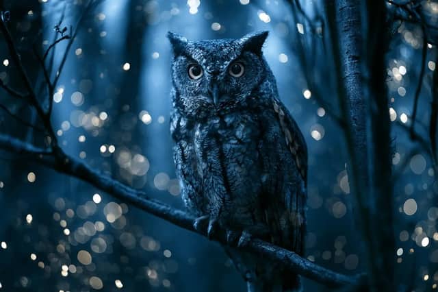 An Enchanted Forest scene with Subject surrounded by Firefly