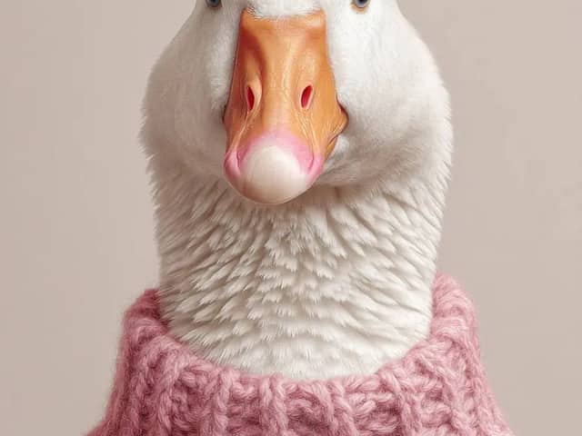 A portrait of a white goose wearing a knit Color sweater