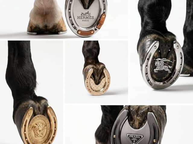 Create an ultra-detailed hyper-realistic surreal editorial