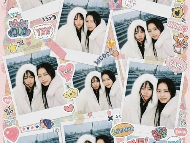 Kawaii Stylebook Collage with Polaroid Effect