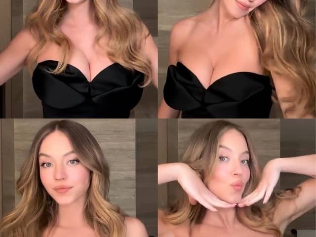 Photorealistic Celebrity Selfie Style Portrait