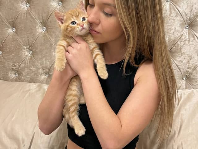 Photorealistic Portrait of Sydney Sweeney with a Kitten