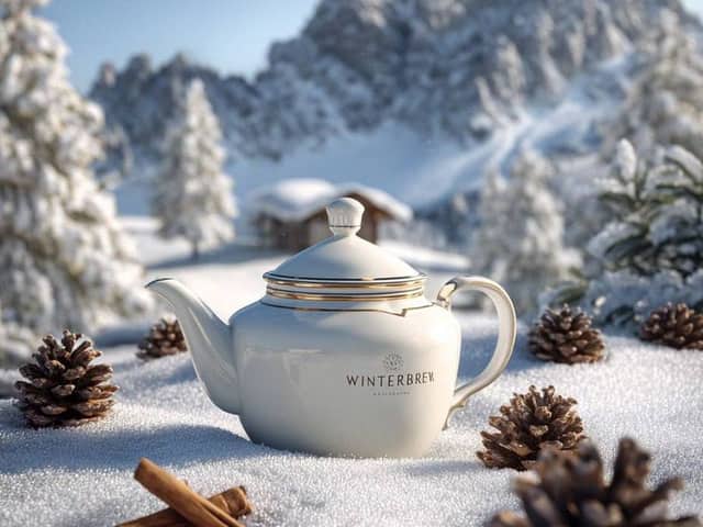 Premium Winter Product Photography in Alpine Setting