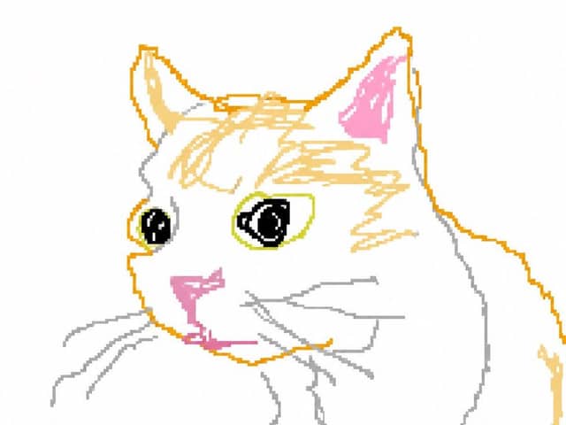 Trasformazione Scribbly in stile MS Paint