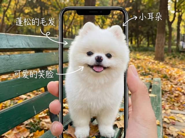 Smartphone Screen Illusion Portrait Template