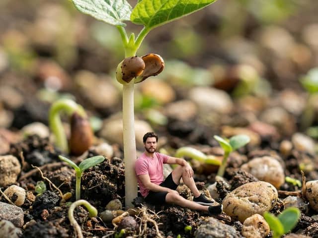 Surreal Macro-Fantasy: Tiny Man and Giant Bean Sprout