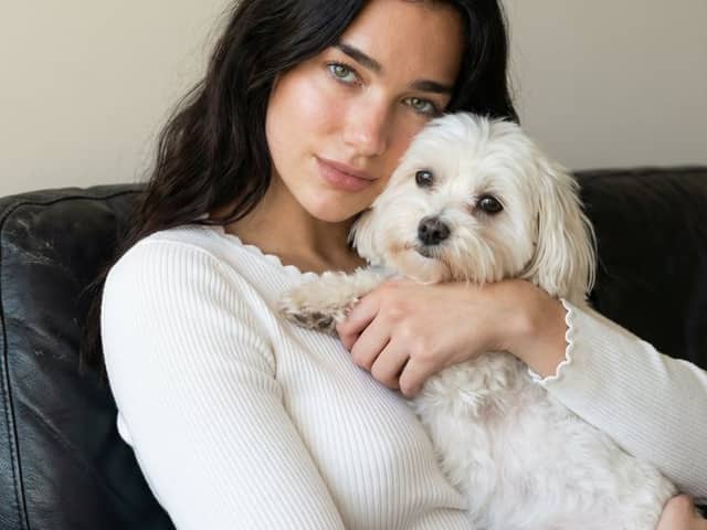 Ultra-Realistic Portrait of Woman Hugging a Maltese Dog