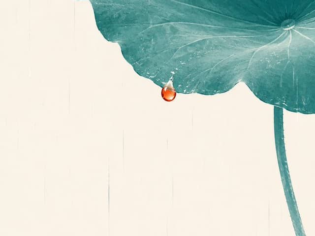 Ilustração Zen Minimalista de Folha de Lótus