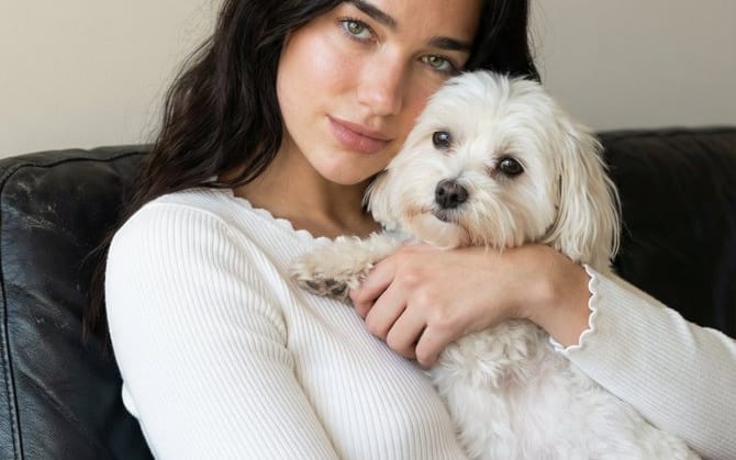 Ultra-Realistic Portrait of Woman Hugging a Maltese Dog