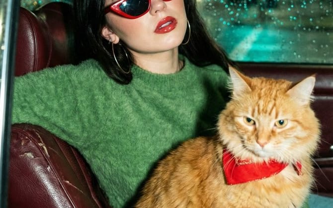 Wong Kar-wai: Cinematic Flash Photography Prompt