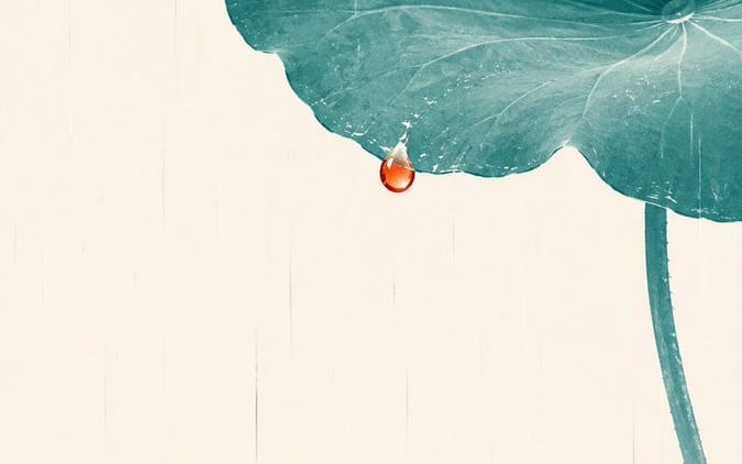 Ilustração Zen Minimalista de Folha de Lótus