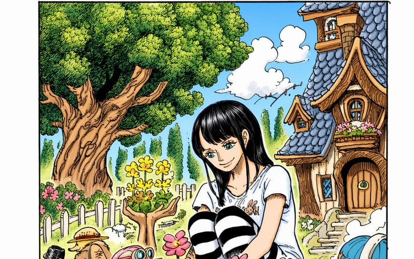 หน้าปกมังงะ One Piece ฉบับลงสี