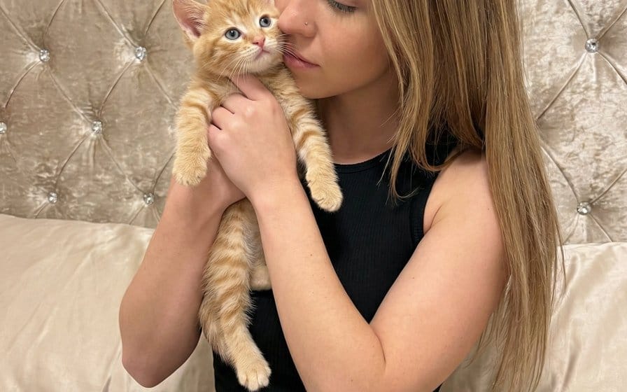 Photorealistic Portrait of Sydney Sweeney with a Kitten