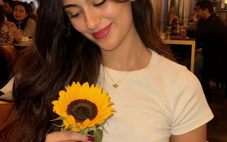 Mujer con un girasol en un cálido entorno de restaurante