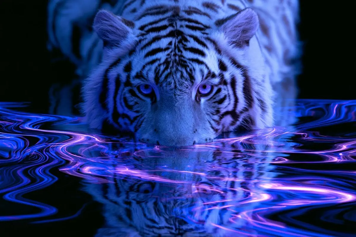 A Fractal Reflections representation of Subject