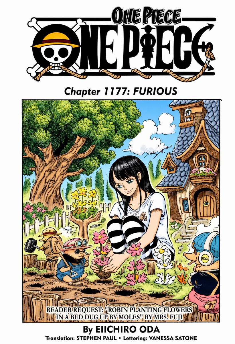 Página de Capa de Mangá Colorida de One Piece