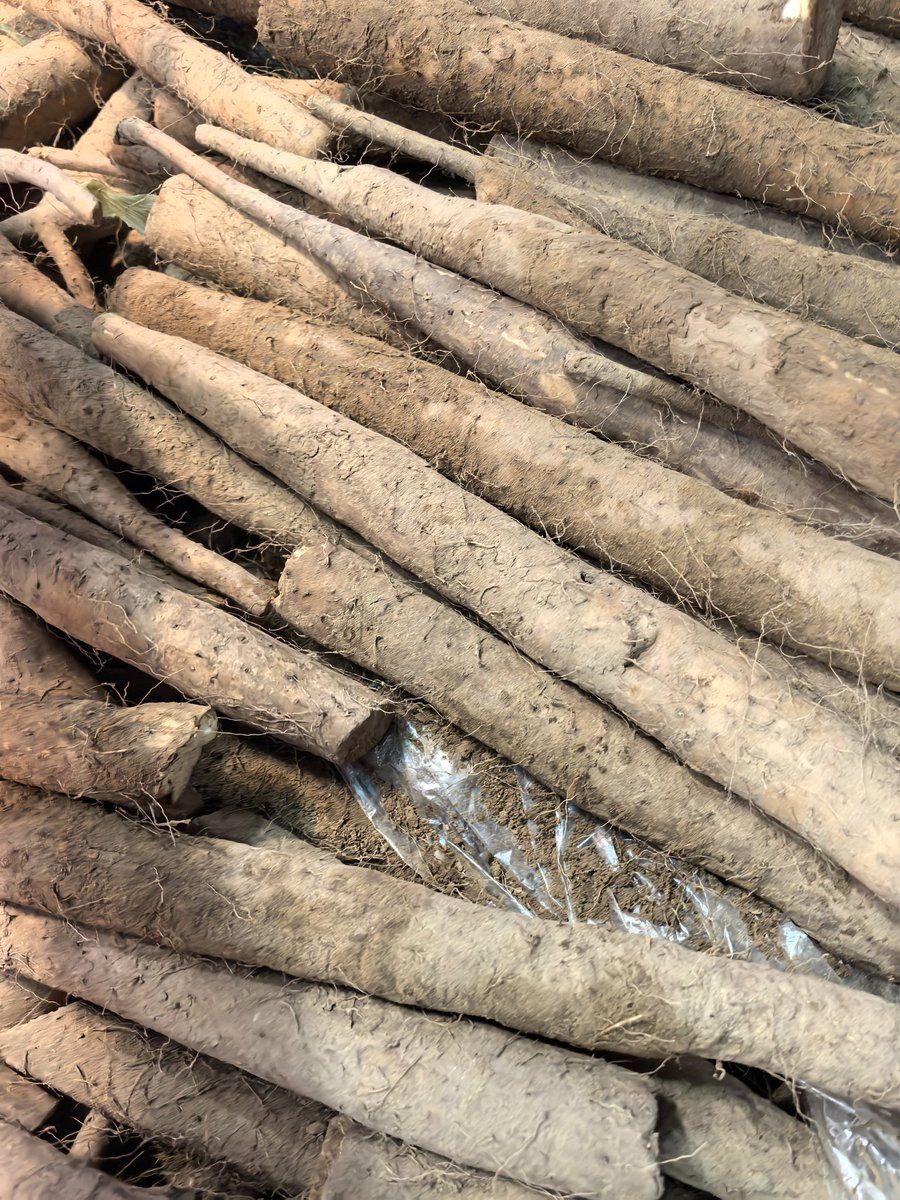 Yam Product Packaging Design Prompt
